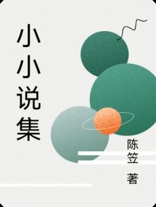 小小说集