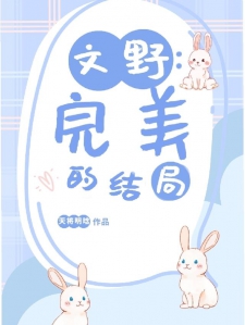 文野：完美的结局